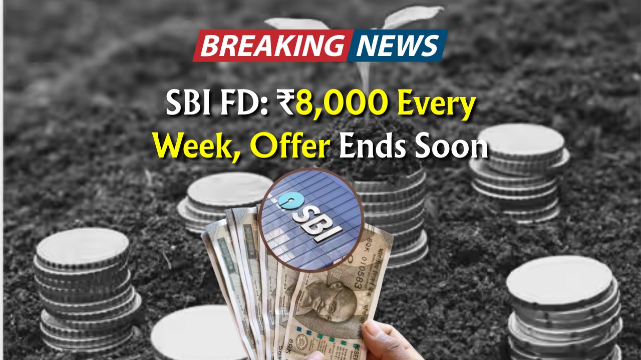 SBI Weekly FD Plan