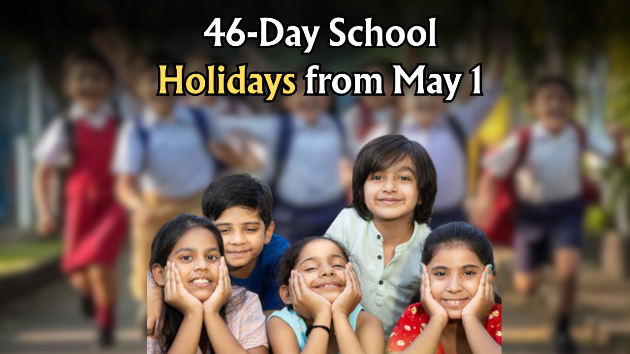 Summer Vacation News